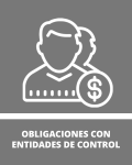Obligaciones con Entidades de Control