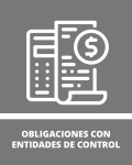 Obligaciones con Entidades de Control